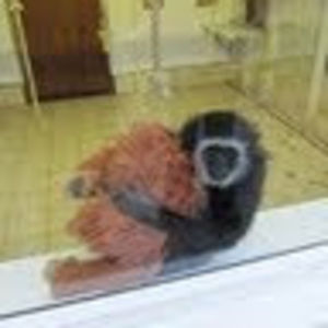 Meet your Posher, Kerry